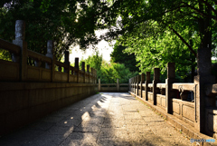 春のお寺