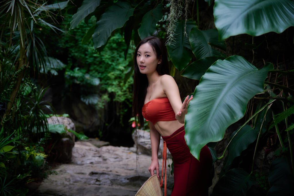 熱帯雨林