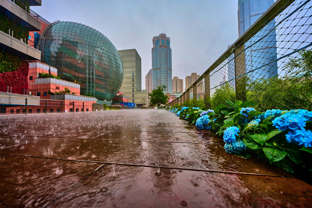 土砂降りの雨