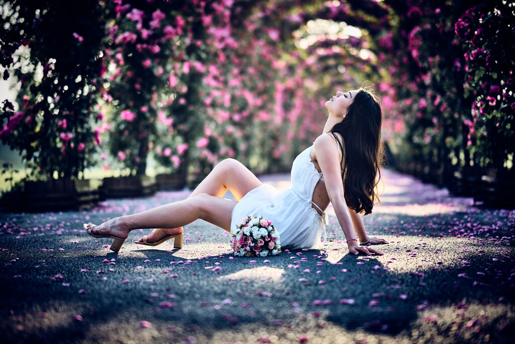 光と影と花のアーチ