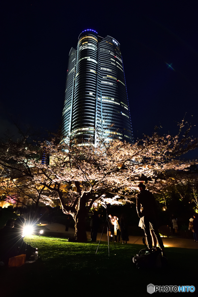 六本木ヒルズと夜景
