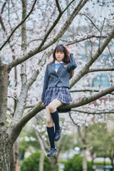 サクラと青春時代