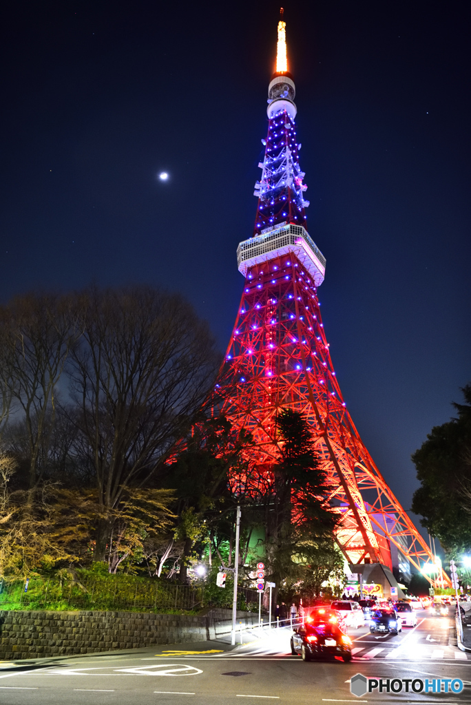 東京タワー