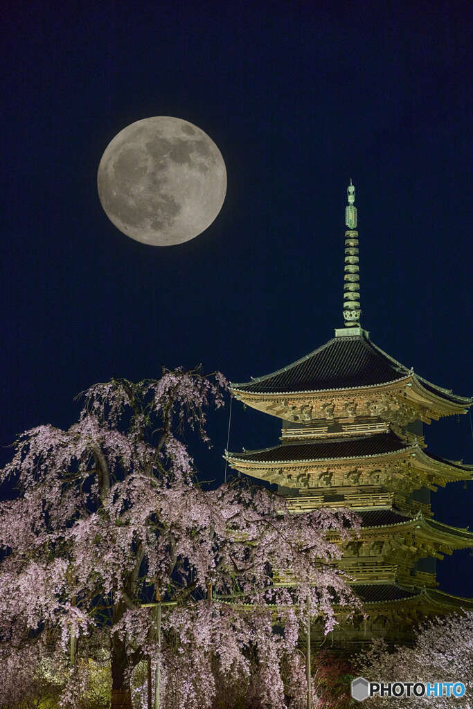 東寺