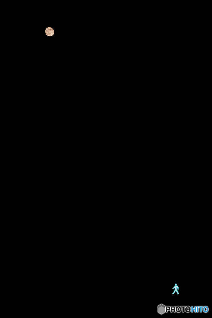 人と満月