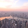 高層からの眺め in Shanghai 