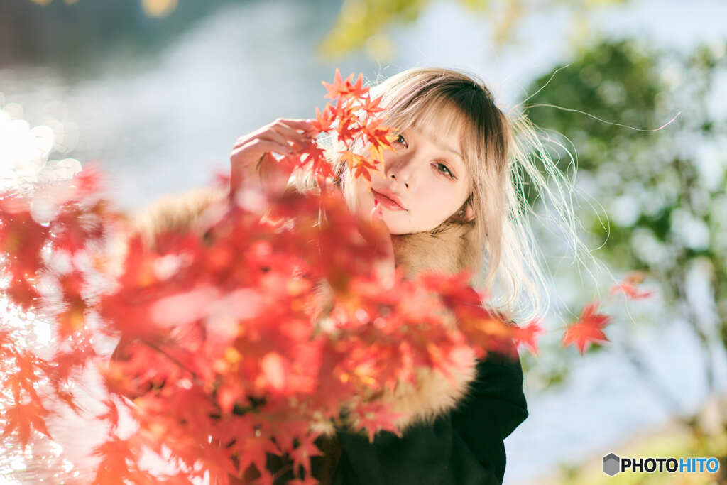 秋を楽しむ