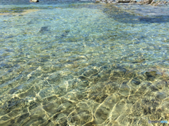 夏色ブルー