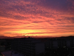紅の夕暮れ