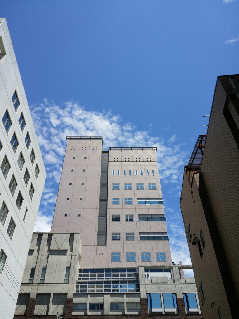 青と白とビルディング