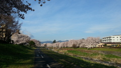 また来年～撮り納め