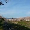 また来年～撮り納め