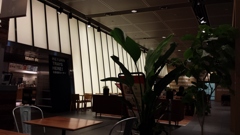 Cafeにて