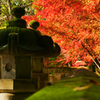 平林寺・灯篭2