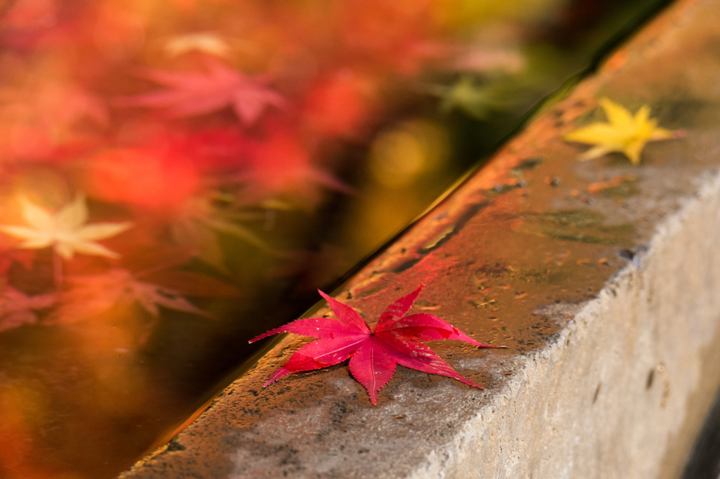 平林寺・手水舎