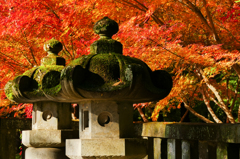 平林寺・灯篭