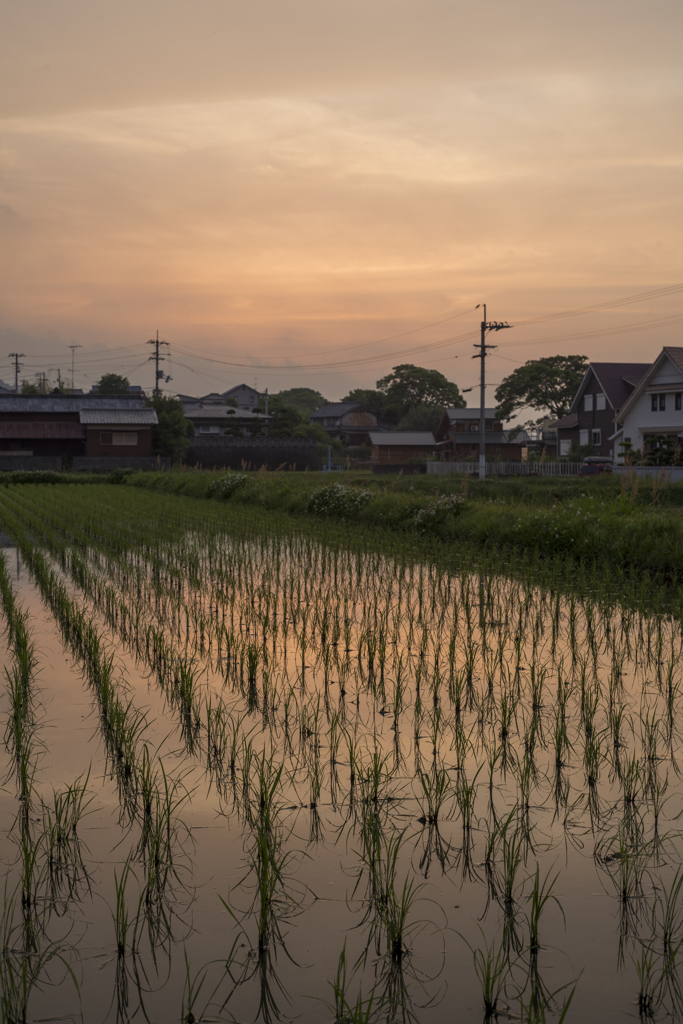 夕焼け