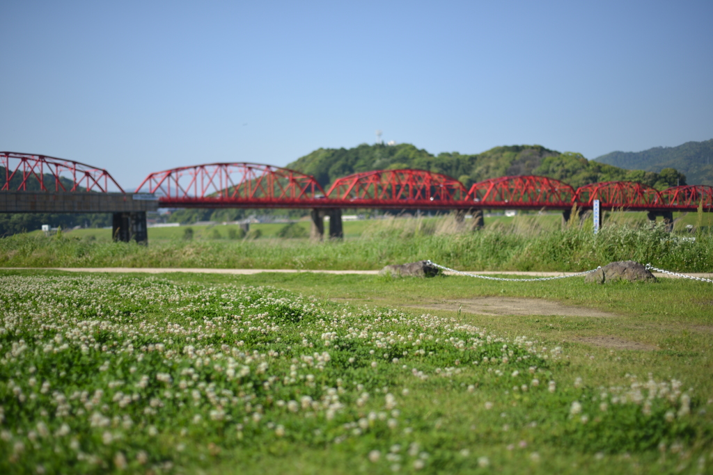 川沿いの広場？