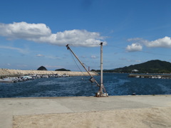 近所の漁港