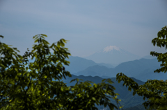 早速行ってきました　高尾山　小出し１