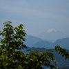 早速行ってきました　高尾山　小出し１