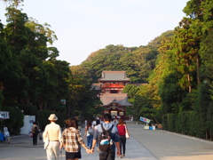 初々しさ
