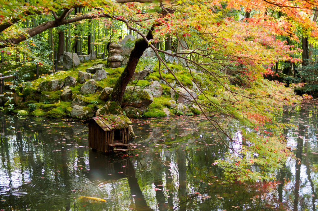 池の主のお屋敷？