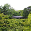 通天橋より