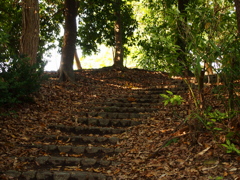 近所の公園Ⅲ