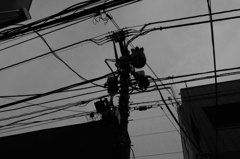 スナップ　立川