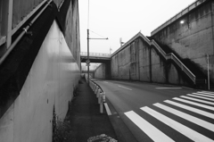 モノクローム