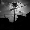 沈黙