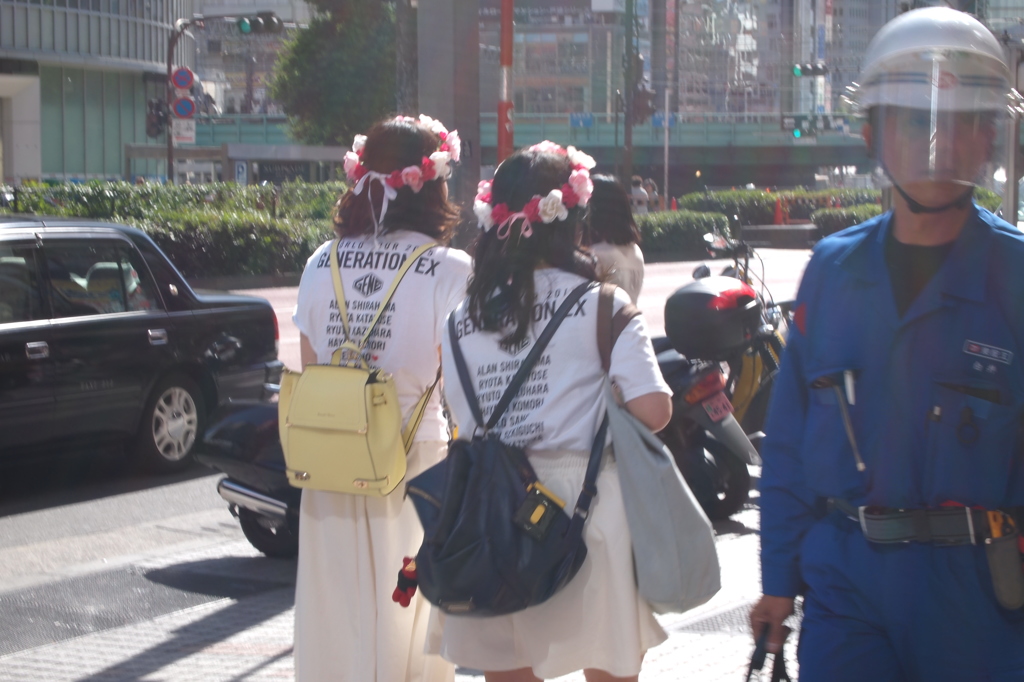 光と花