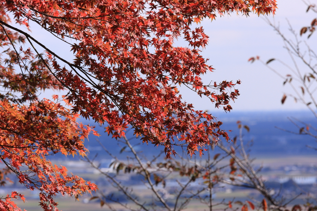 2014-11-03　晴れ