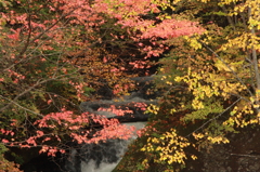 滝と紅葉　20141005－２