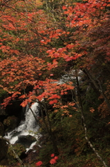 滝と紅葉　20141005