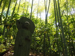 竹林の中の