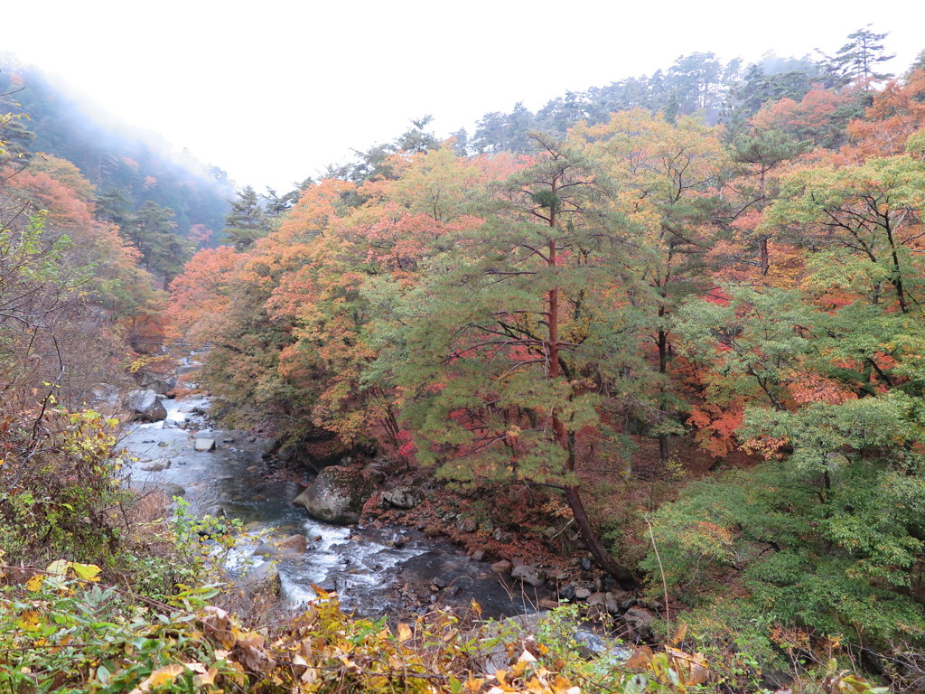 昇仙峡の紅葉1