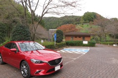 紅葉まだだった。