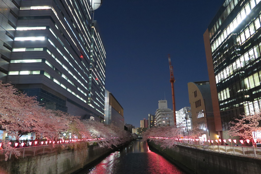 目黒川