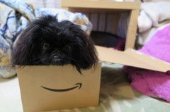 amazonからのお届け物