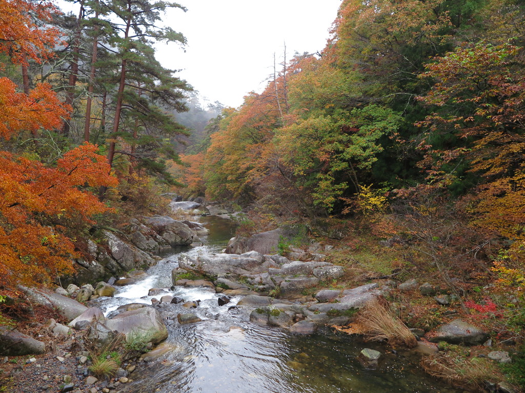 昇仙峡の紅葉3