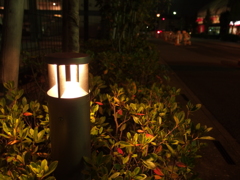 補助灯と草