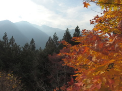 山と紅葉