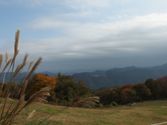 山からの景色