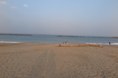 海辺