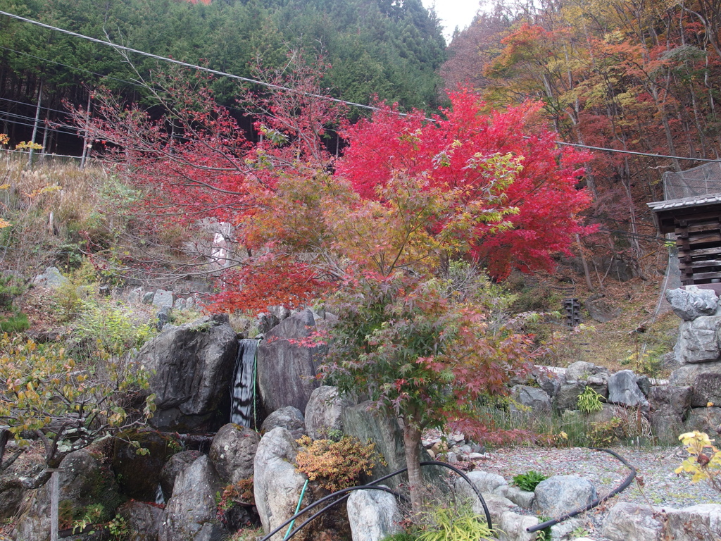 プチ滝