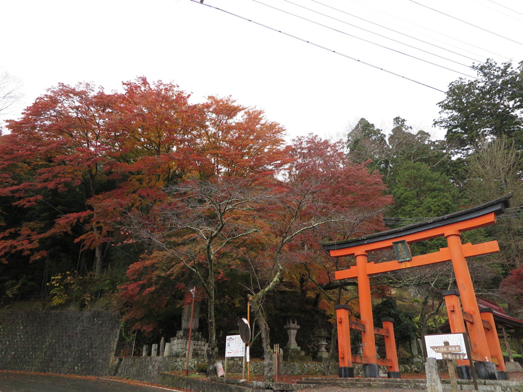 金櫻神社