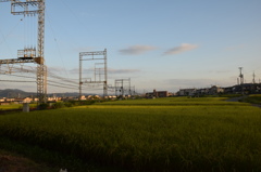 夕暮れ