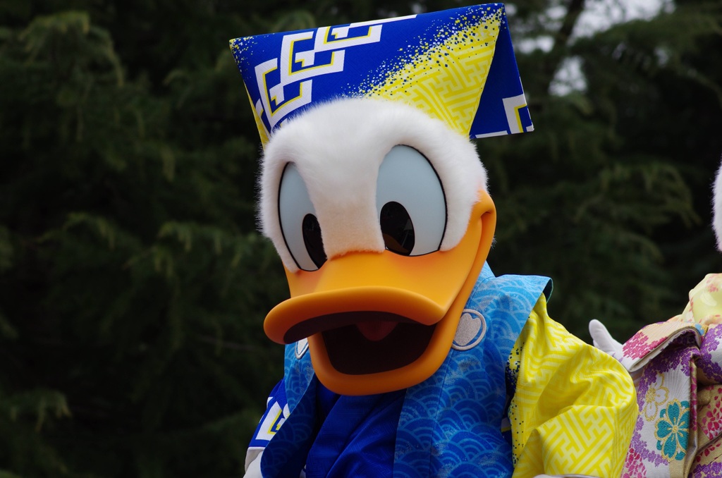 NYGドナルド